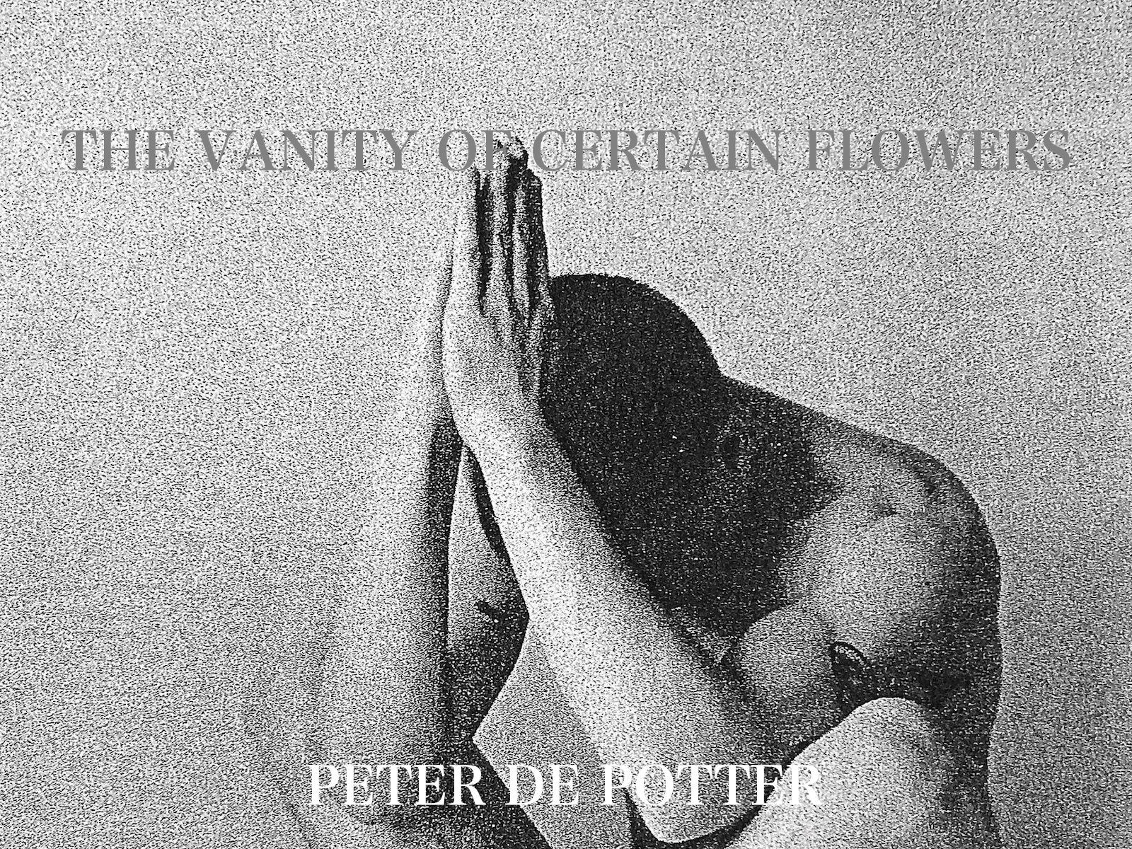 THE VANITY OF CERTAIN FLOWERS – Peter de Potter