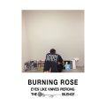シドニーのインディペンデントレーベル BURNING ROSE RECORDS にフォーカス