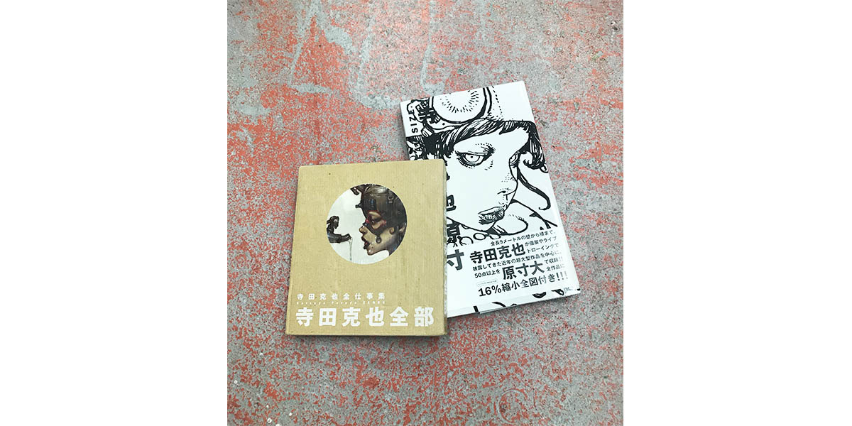 Art Book Collection 寺田克也 Fragile フラジャイル 大阪