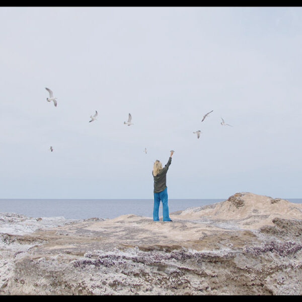 SIDE CORE Living road, Living space /生きている道、生きるための場所 / 金沢21世紀美術館